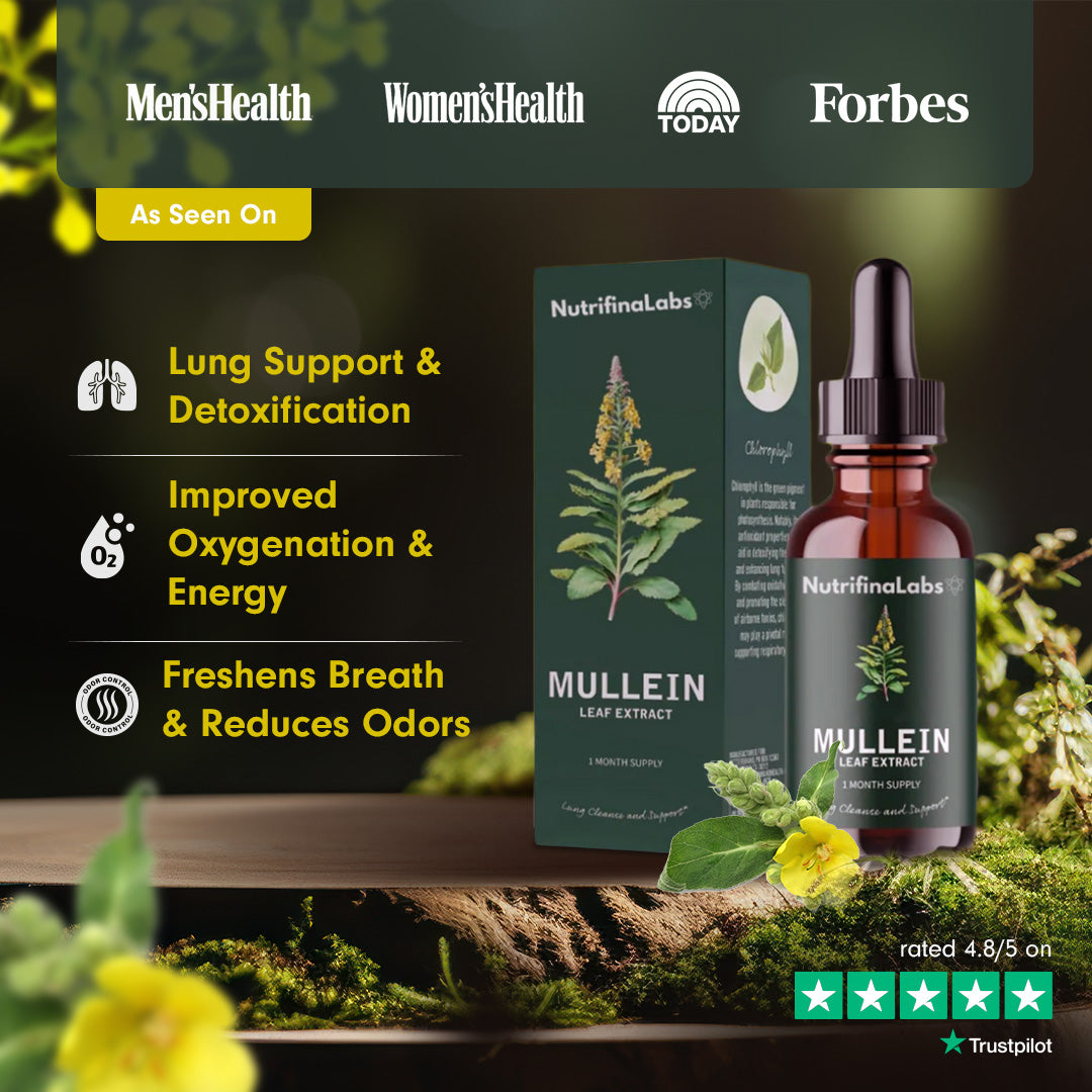 NutrifinaLabs® Mullein Drops