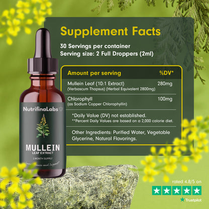 NutrifinaLabs® Mullein Drops